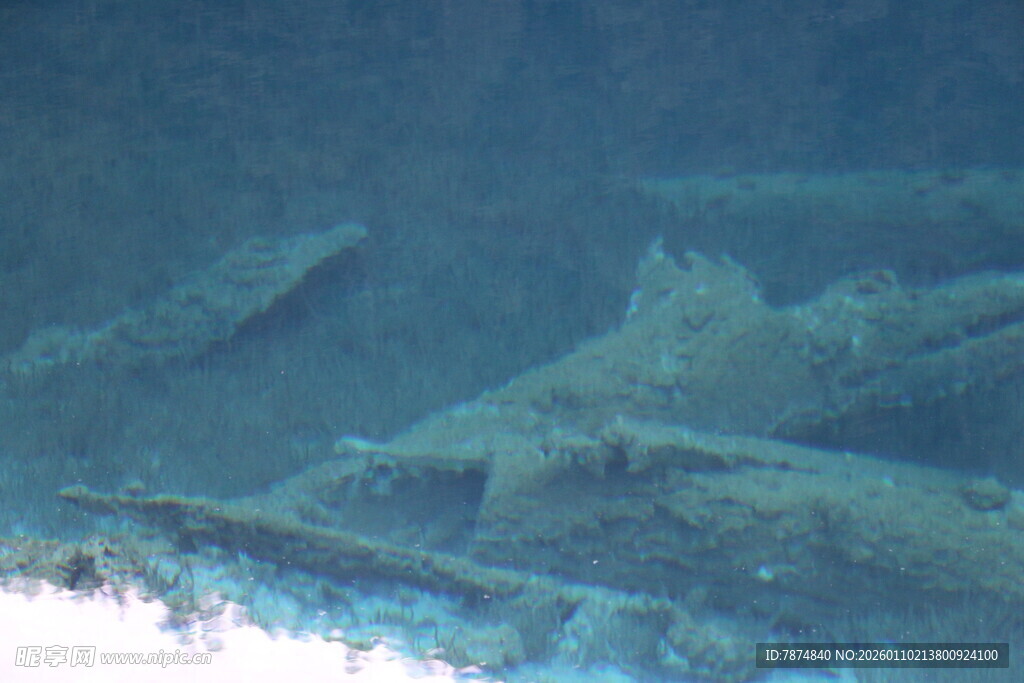 海底沉船残骸景象