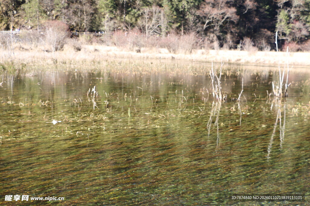 清澈湖水与岸边景致