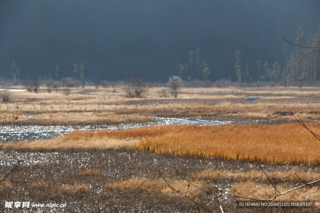 秋日旷野湿地风光