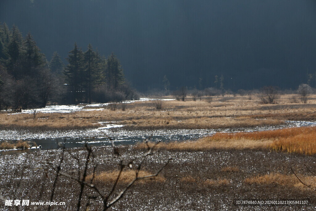 冬日旷野中的自然景致