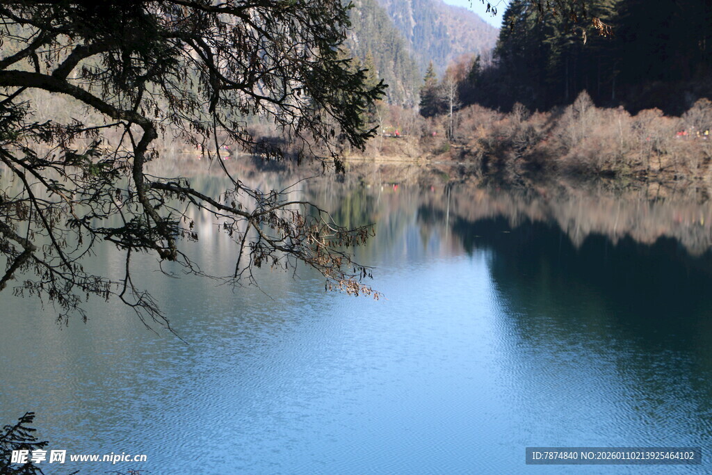 宁静湖畔的自然景致