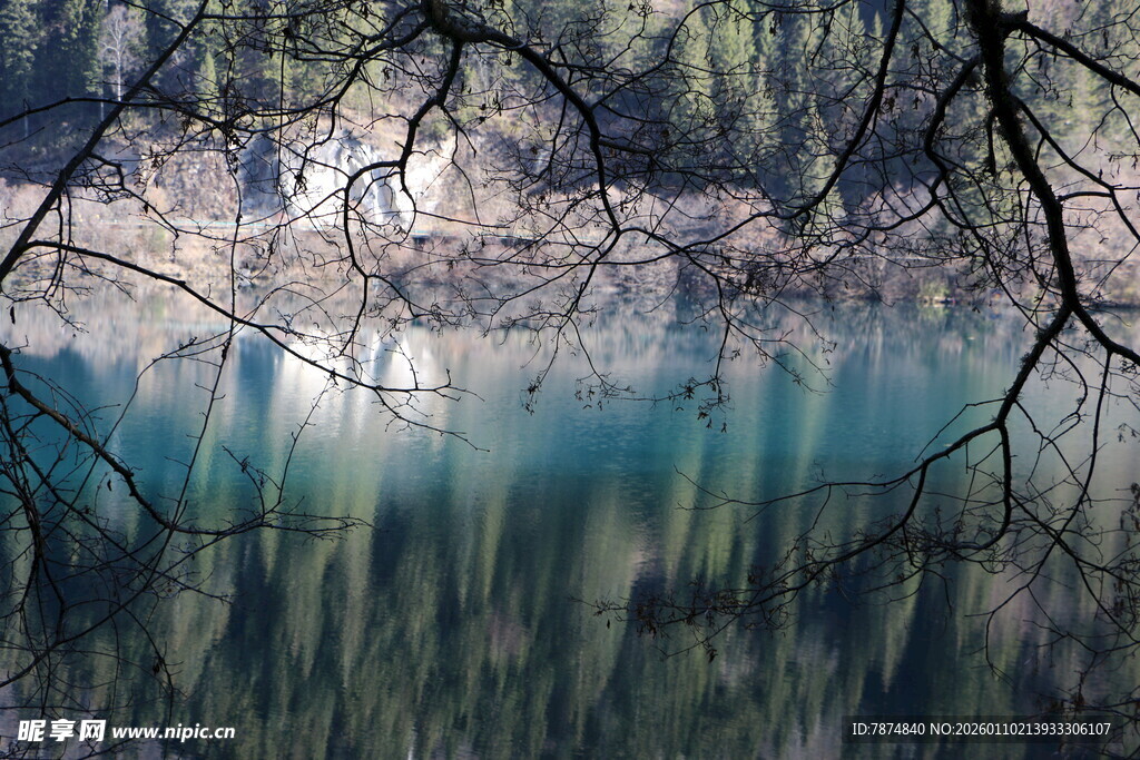 静谧湖水映山林美景