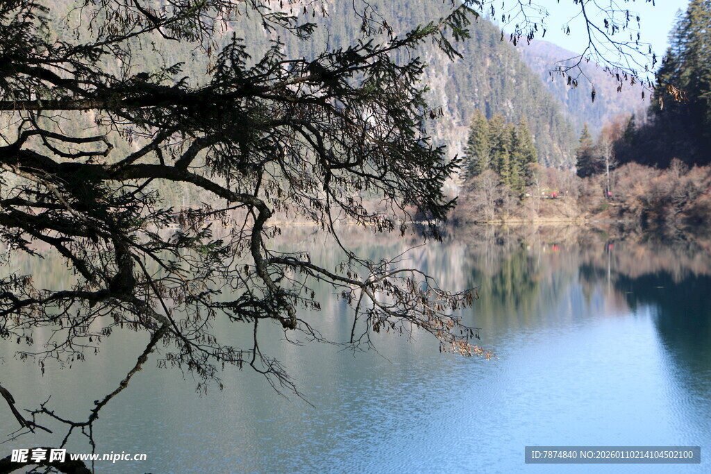 宁静湖畔的自然景致