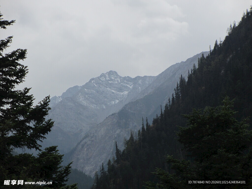 山间森林与远处巍峨山脉