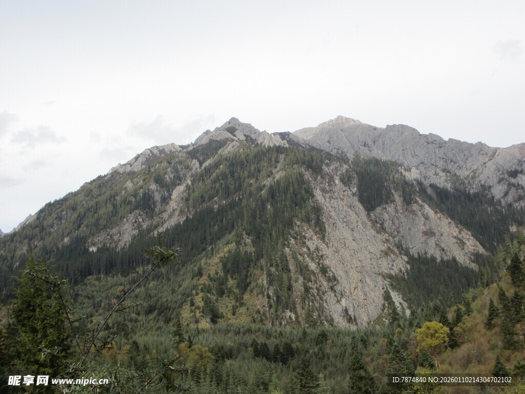 巍峨山峦与葱郁林木景观