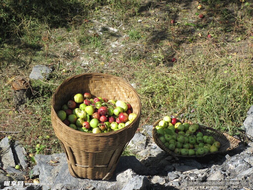 户外装满水果的藤编篮子