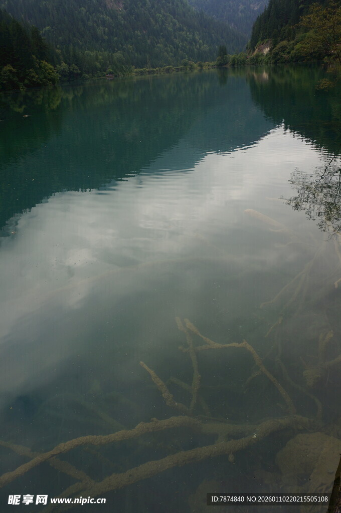 宁静湖水映白云与枝影