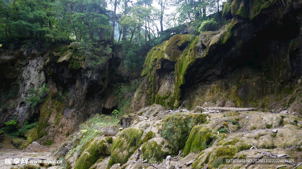 山间青苔覆盖的石壁景致