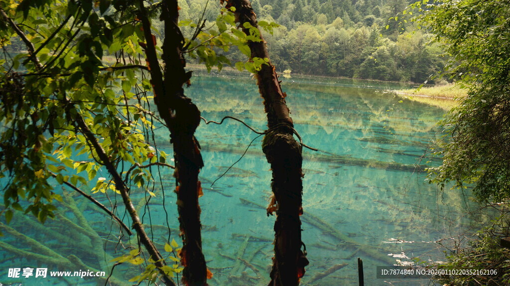 山林间的清澈幽蓝湖泊