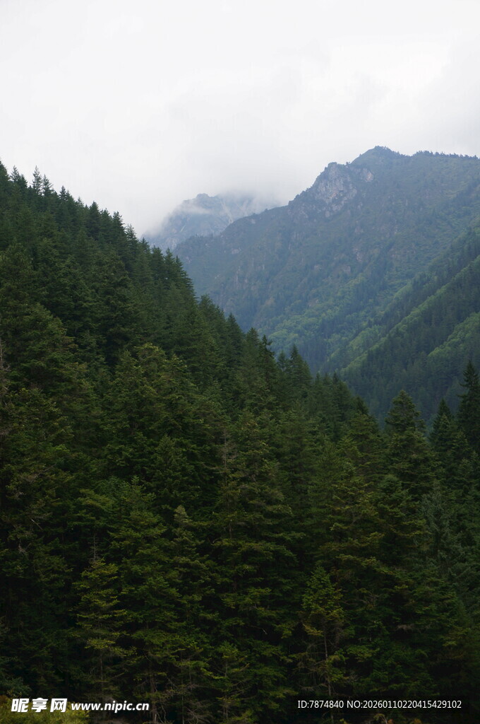 山林云雾间的壮美景色