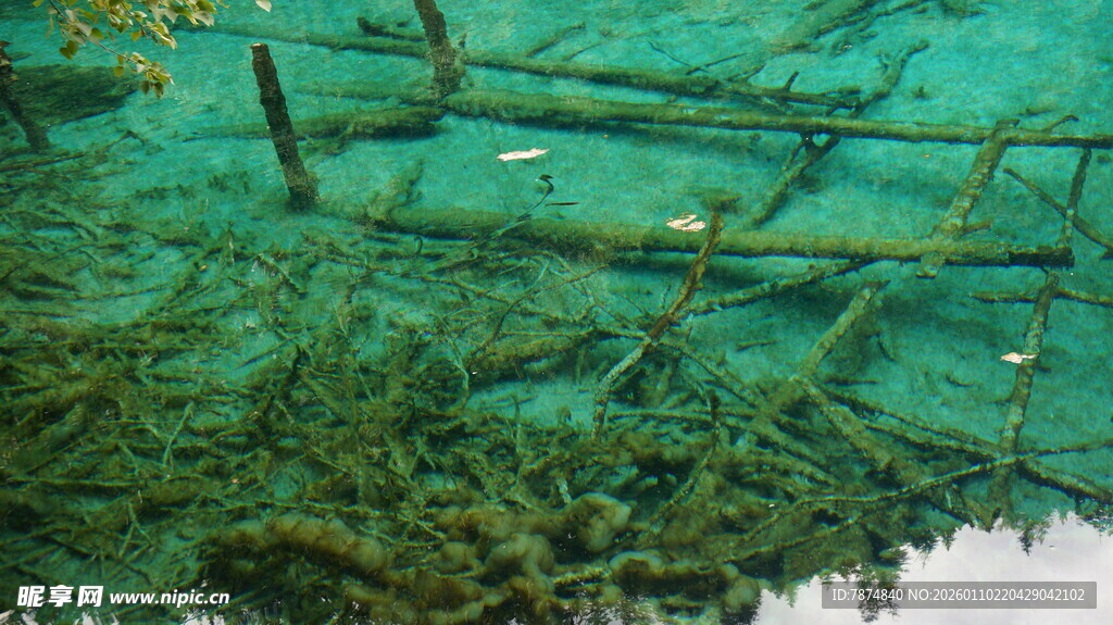 水下木质结构与绿植景观
