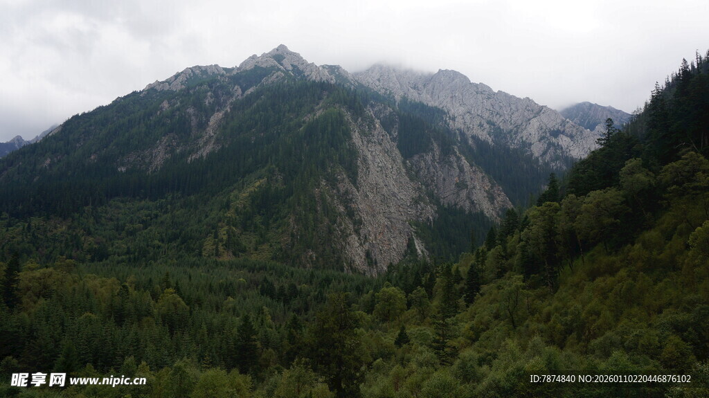 山峦绿意浓 云雾绕峰巅