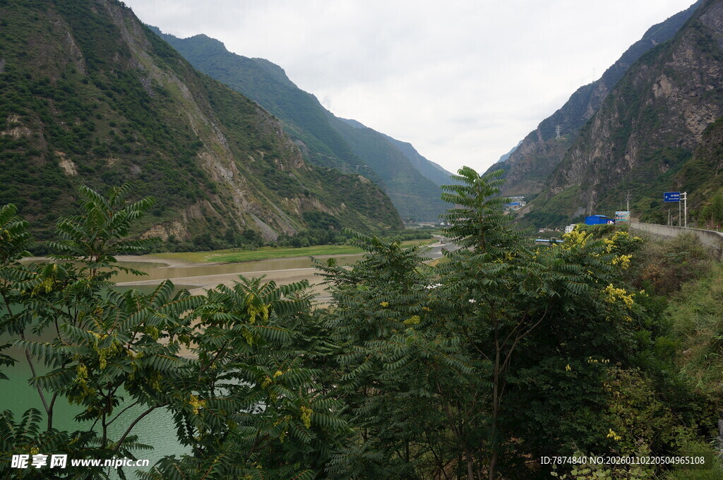 山间河谷绿意盎然风景