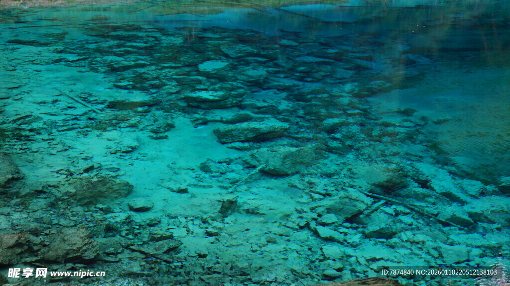 清澈海底的美丽景象