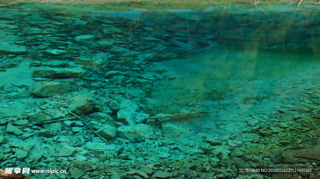 清澈水底的斑斓景象