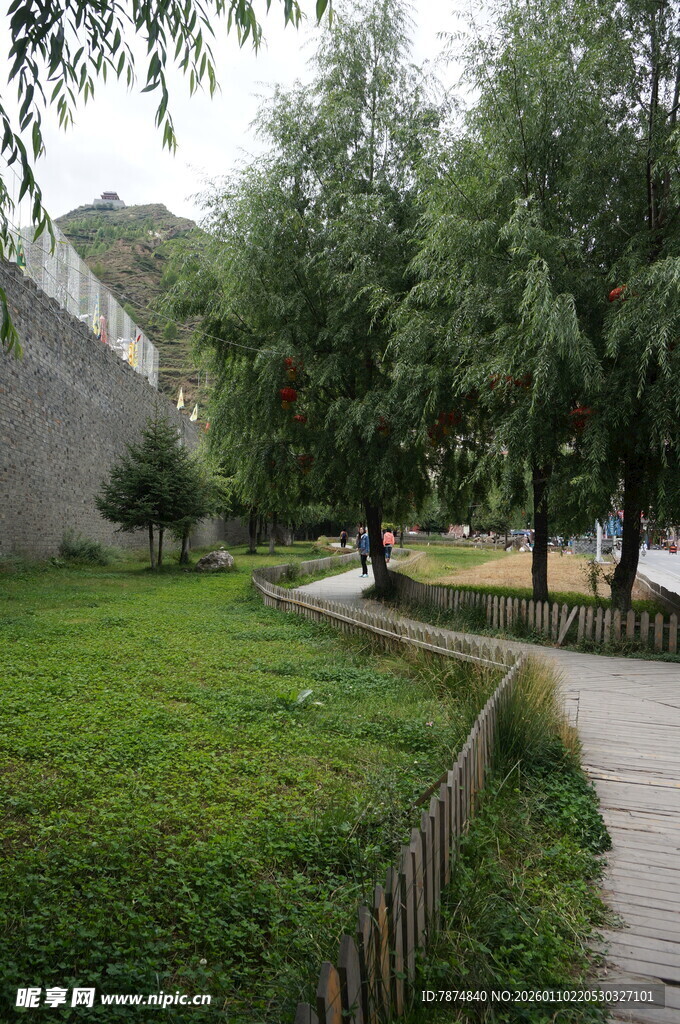 公园小径旁的绿意景观