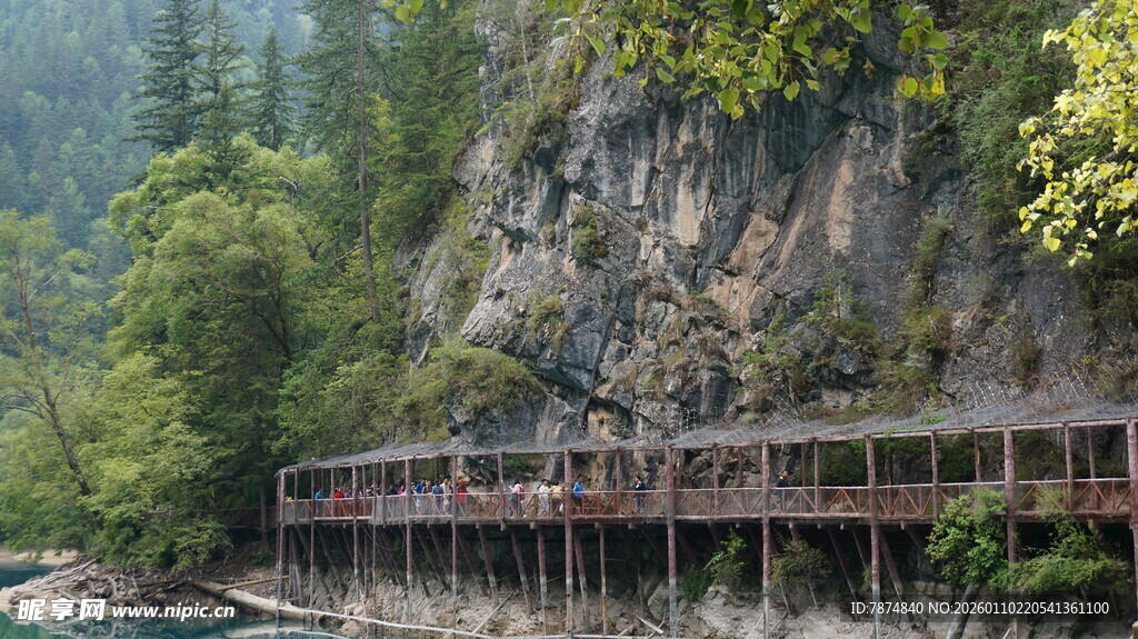 山间栈道 隐于葱郁林木间