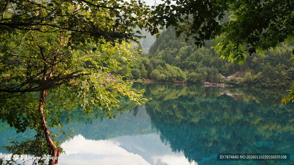 清澈蓝湖旁的葱郁树林