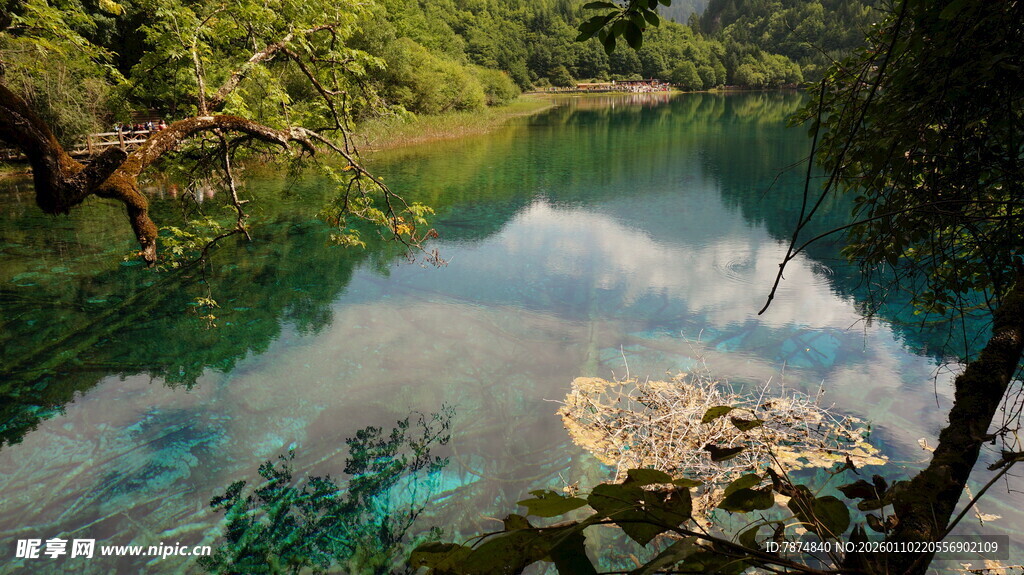 清澈秀丽的山间溪流景色