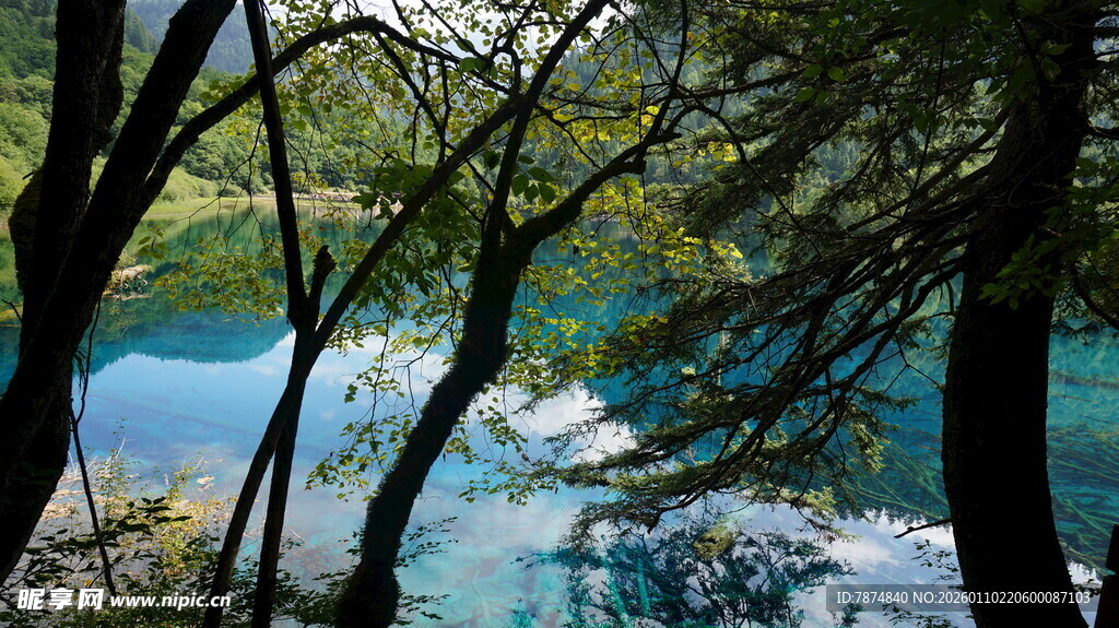 林间蓝湖 自然静谧之景