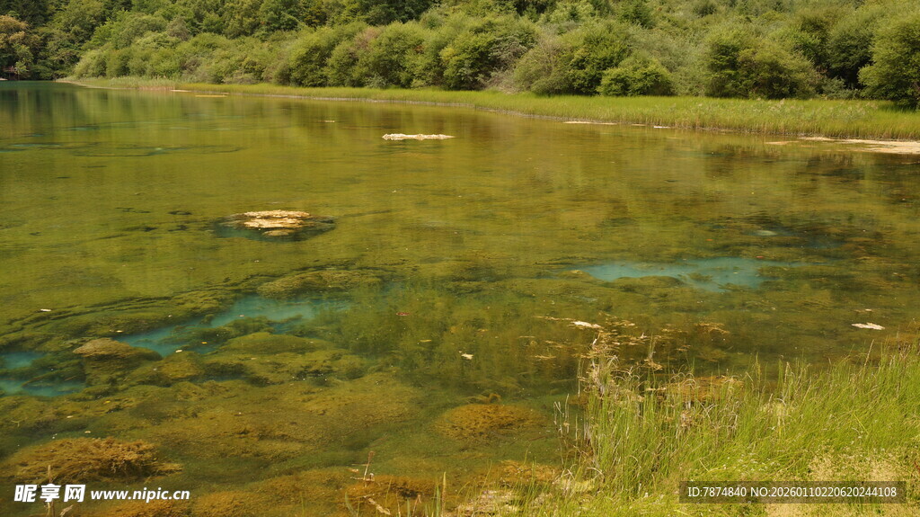 清澈河畔的自然美景