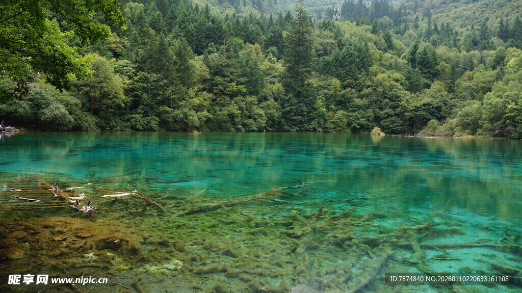 梦幻蓝绿的清澈山林湖泊