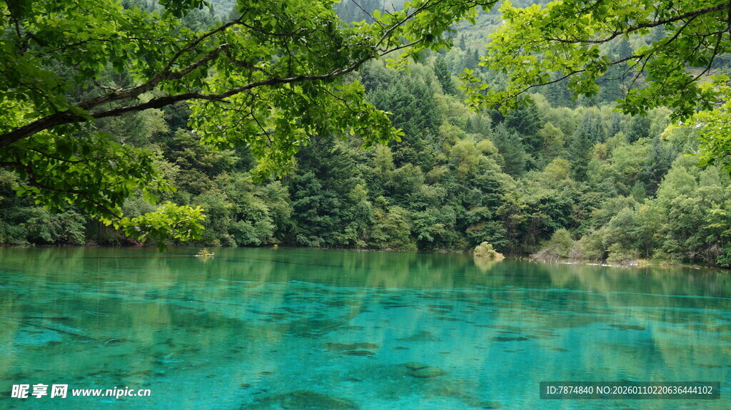 清澈碧绿的山林间幽潭