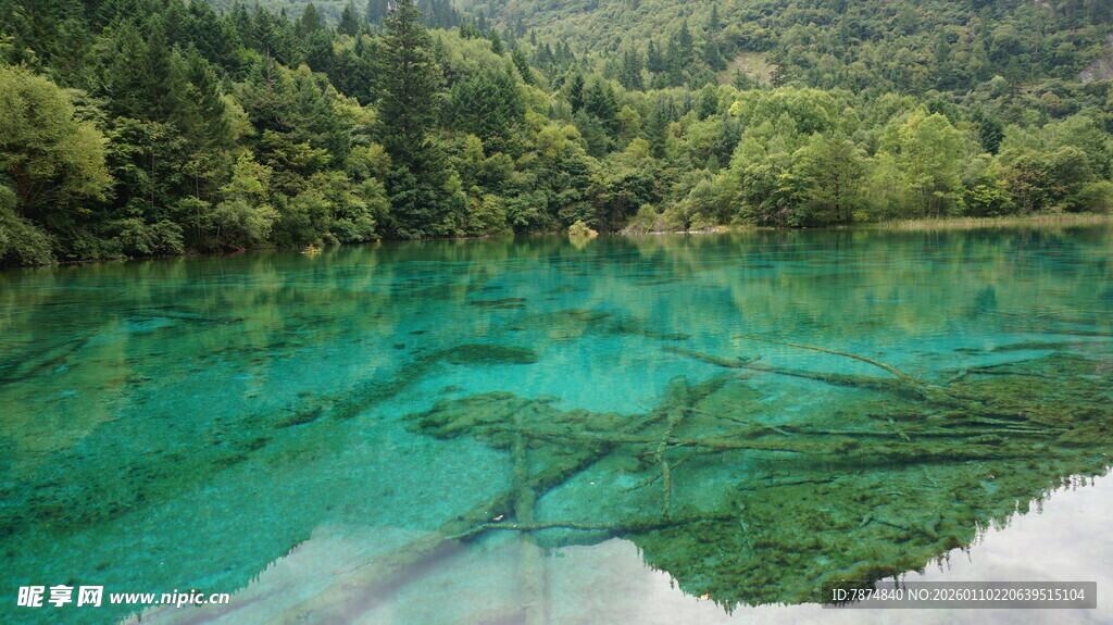 碧绿清澈的山间幽潭