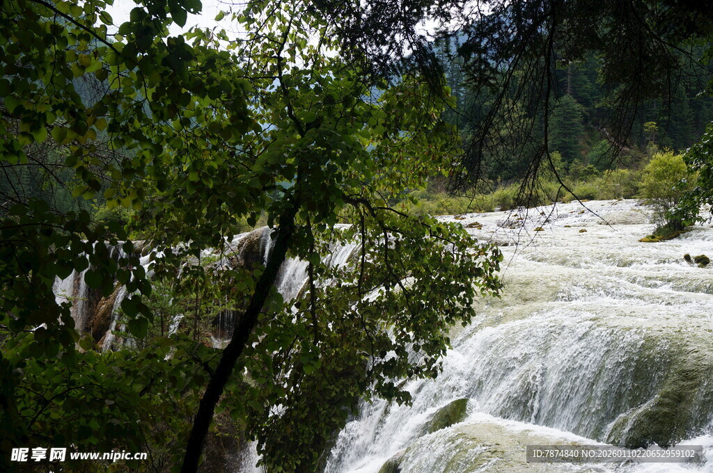 山间湍急瀑布与葱郁树木