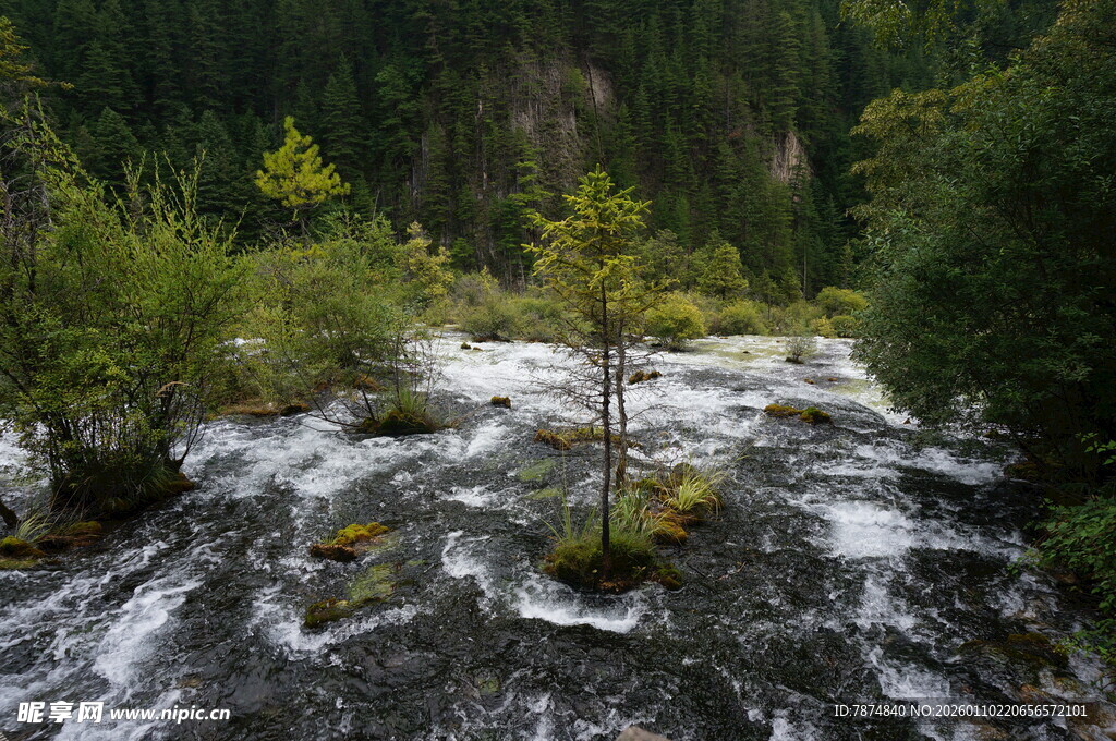 山间湍急溪流 绿意盎然