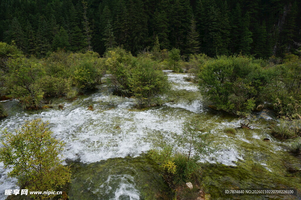 山间溪流穿林而过