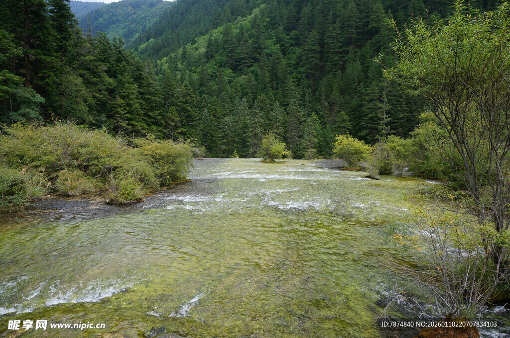 山间溪流 绿意盎然的景致