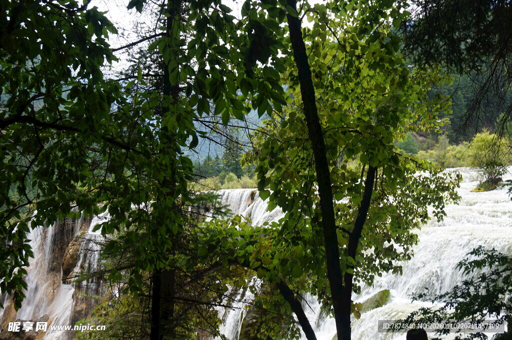 山林间湍急水流与绿树