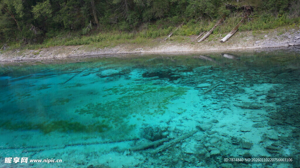 清澈见底的蓝绿色水域