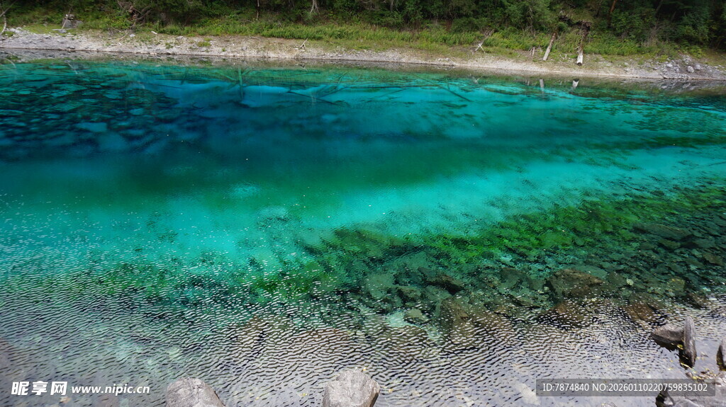 清澈蓝绿色的美丽水域