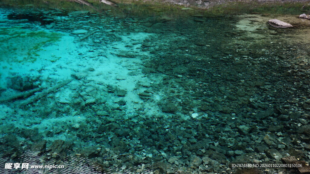清澈见底的海底景象