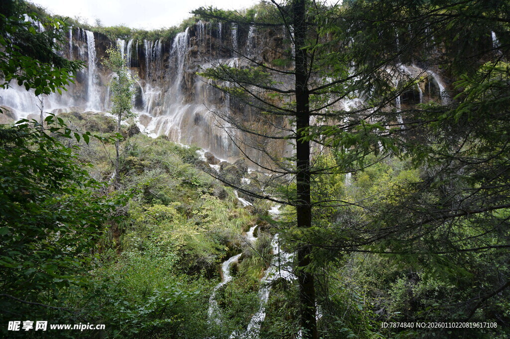 森林中的壮丽瀑布景观