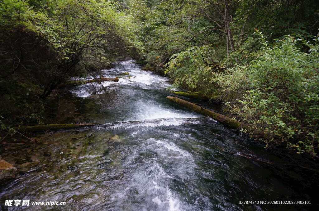 山间溪流 绿意环绕的美景