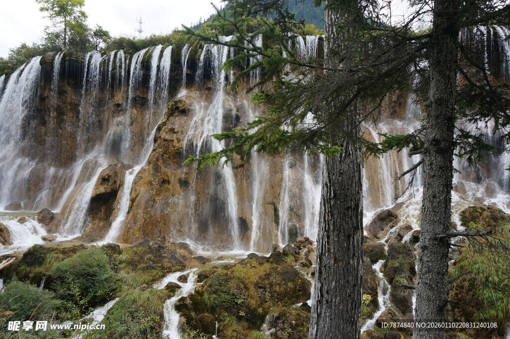 森林中的壮美瀑布景观