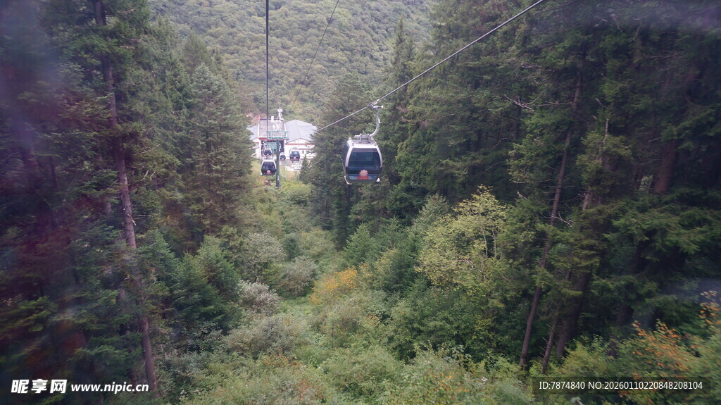 林间缆车穿梭于葱郁山林