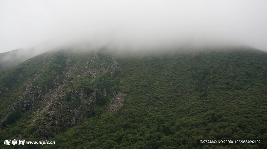 云雾缭绕的翠绿山峦