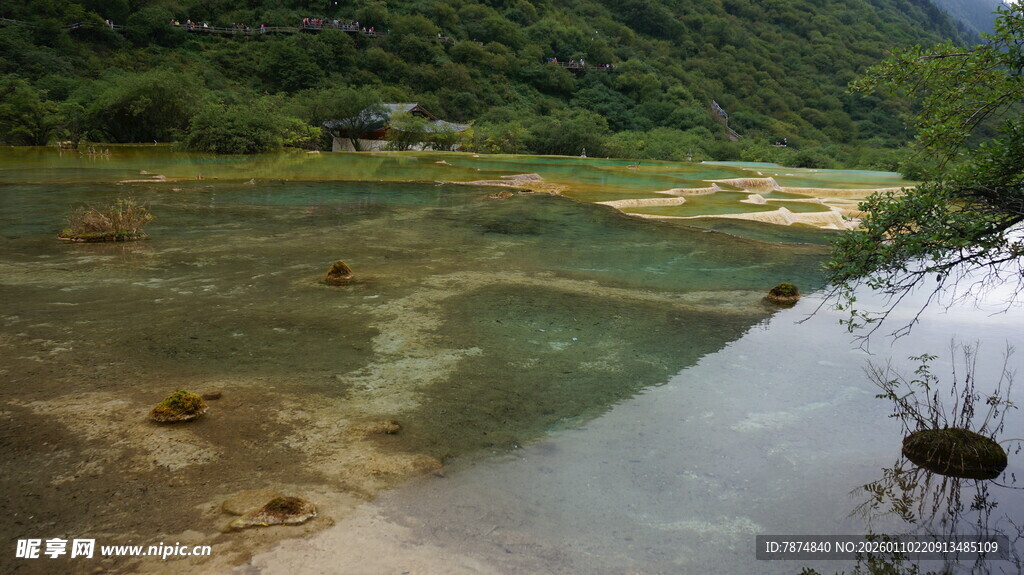 山间清澈溪流美景