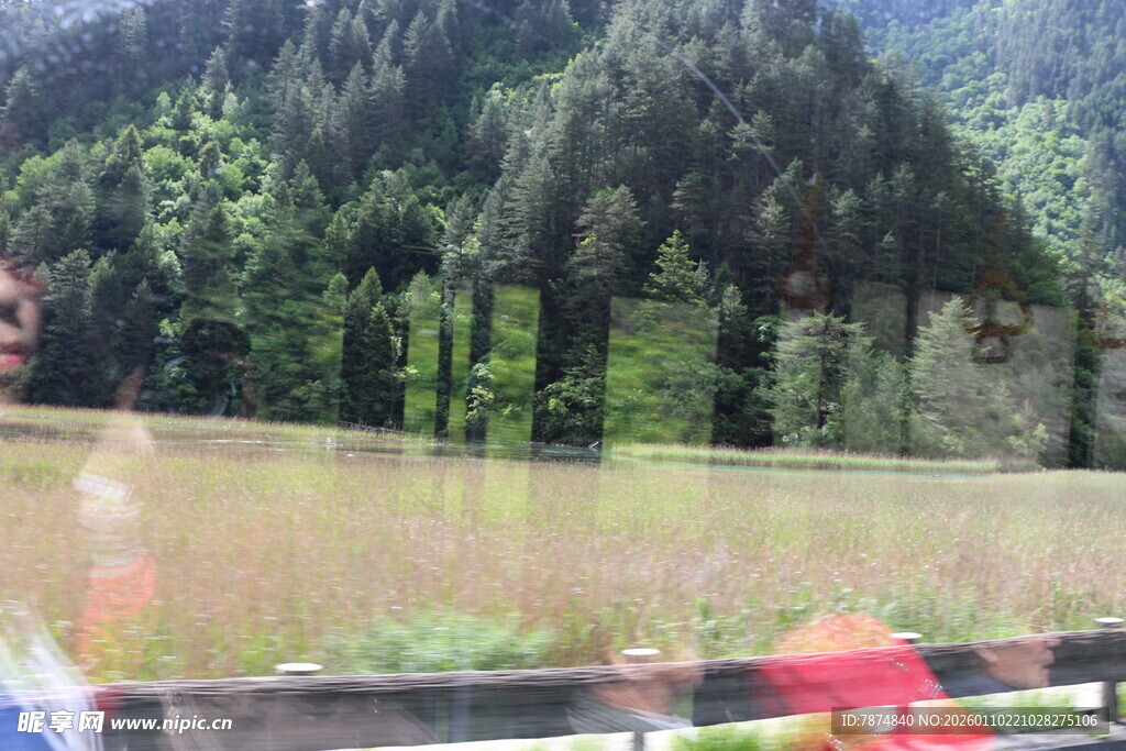 山林旁的开阔草地景观