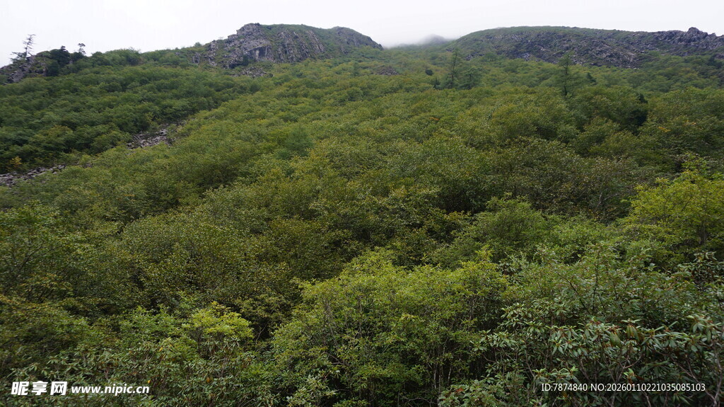 翠绿山峦间的茂密植被