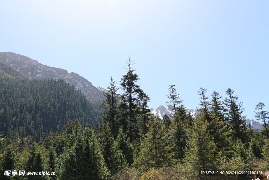 山林葱郁的秀丽自然景观