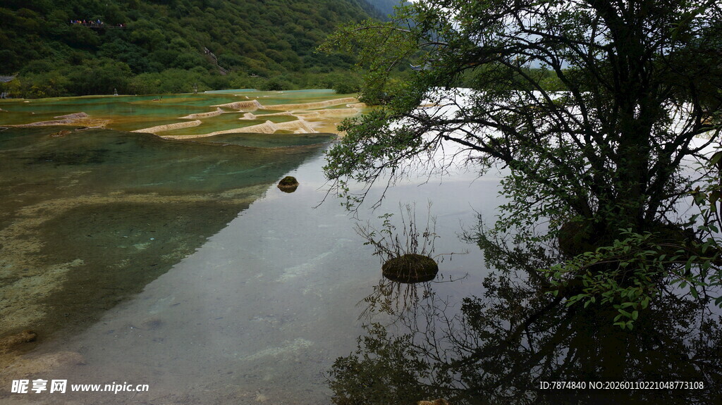 山间秀丽溪流景观