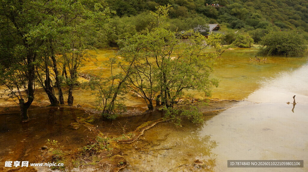 山间浅滩处的自然景致