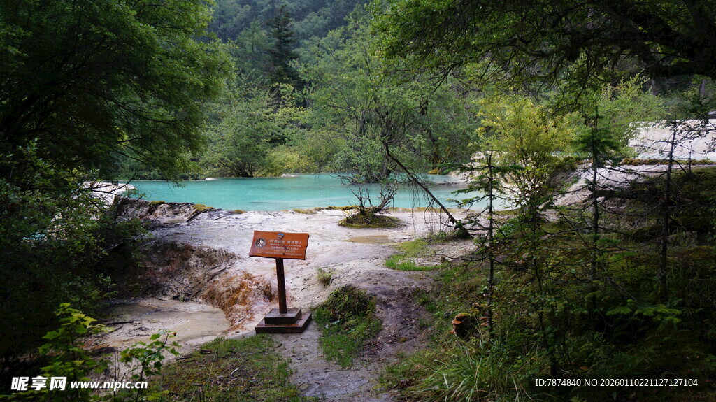 山林间的幽美清澈溪流