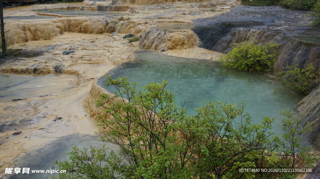 自然景观中的碧绿池潭
