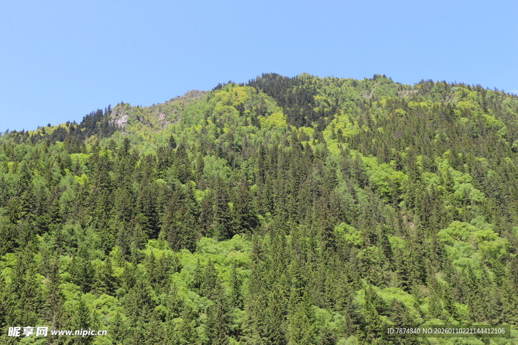 翠绿山峦 尽显自然之美